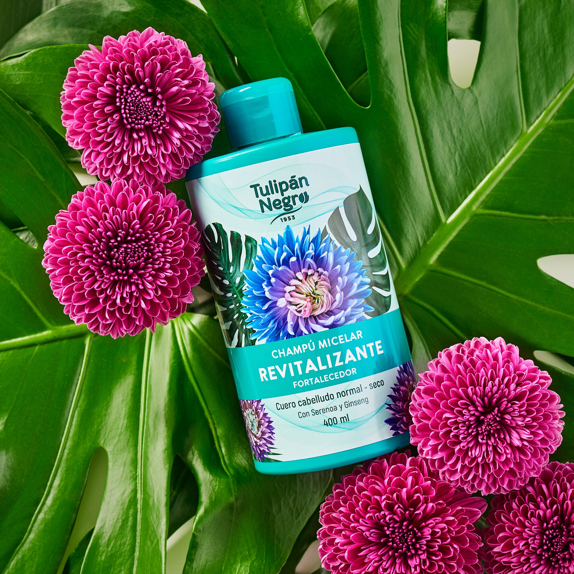 Tulipan Negro Sampon Revitalizante 400 Ml